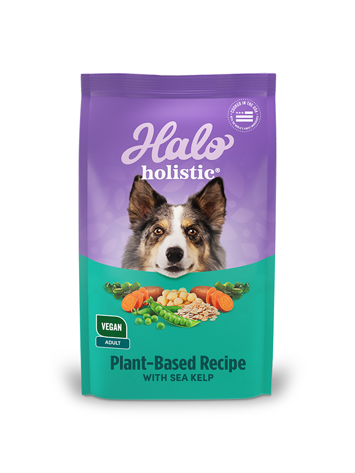 Halo Holistic Adult Dog Vegan Plant-Based Recipe with Kelp 10 lb
