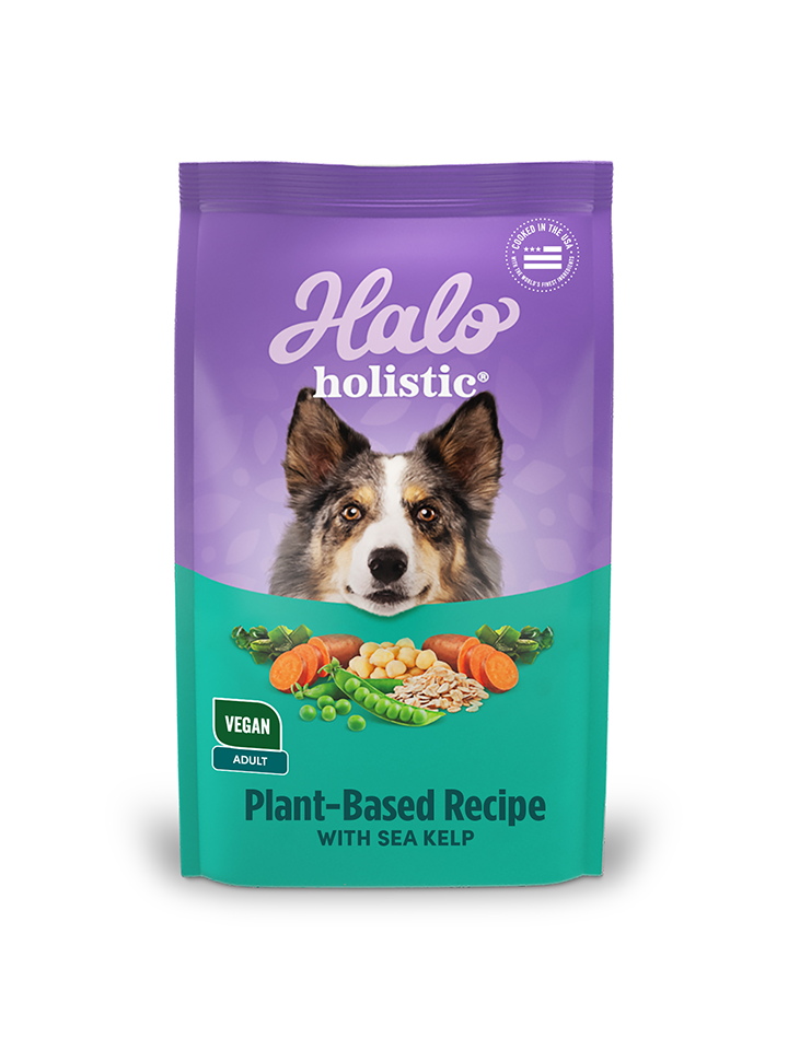 Halo Holistic Adult Dog Vegan Plant-Based Recipe with Kelp 3.5 lb