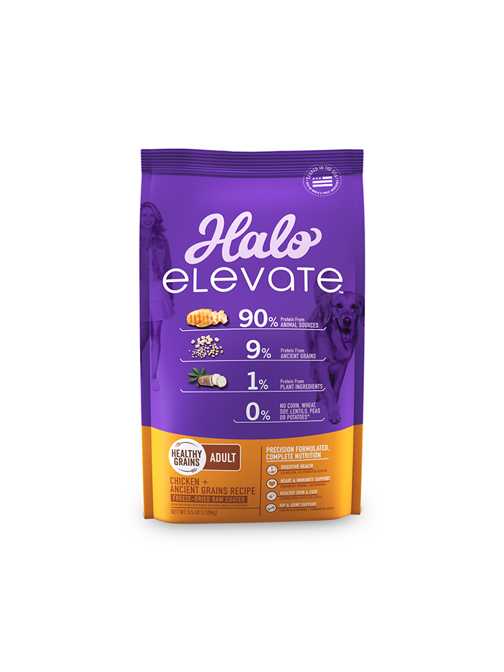 Halo Elevate Dog Healthy Grains Chicken Recipe Dry Food 3.5 lb