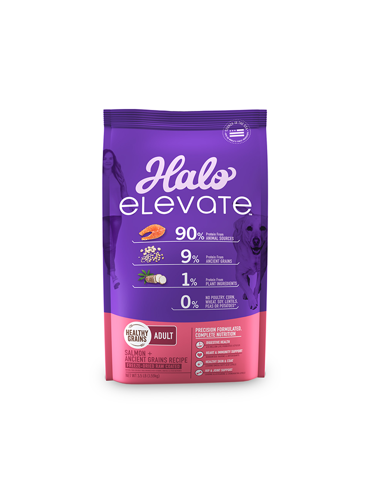 Halo Elevate Dog Healthy Grains Salmon Recipe Dry Food 3.5 lb