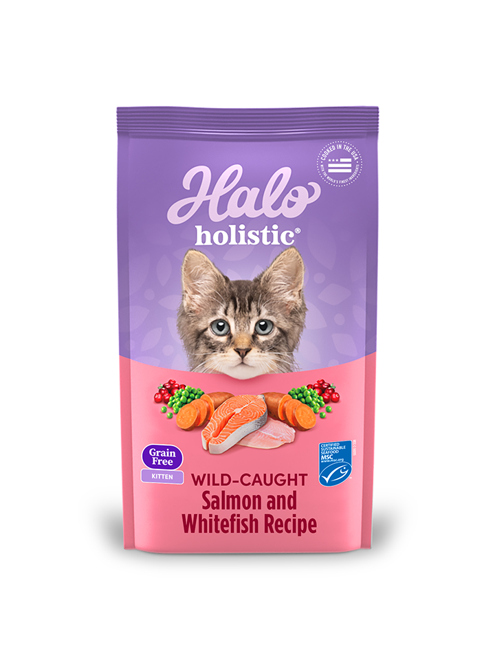 Halo Holistic Kitten Grain Free Wild-caught Salmon & Whitefish Recipe 3 lb 