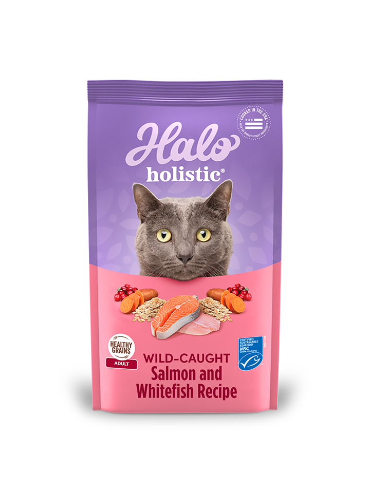 Halo Holistic Adult Cat Healthy Grains Wild-caught Salmon & Whitefish Recip