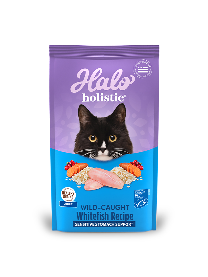 Halo Holistic Adult Cat Healthy Grains Wild-caught Whitefish Recipe 3 lb ba